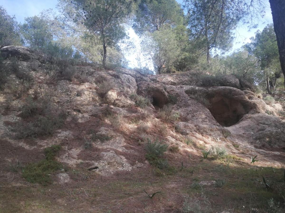 Alojamiento Rural El Paraiso Del Chorro Bagian luar foto