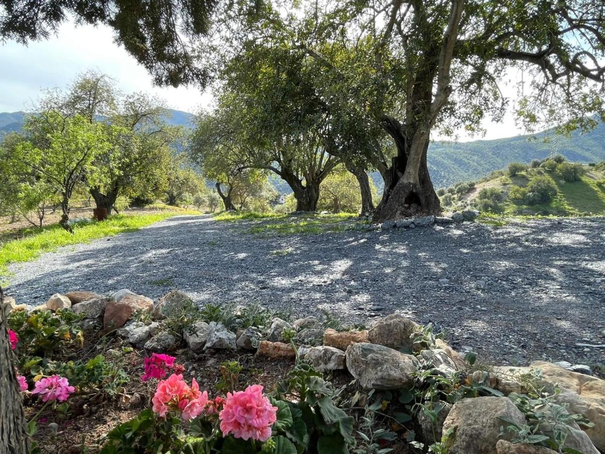 Alojamiento Rural El Paraiso Del Chorro Bagian luar foto